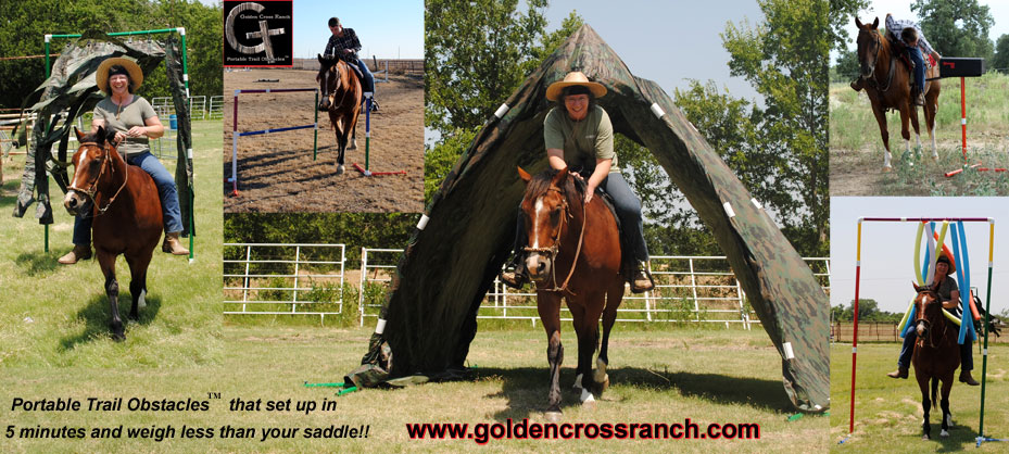 Having Fun With Your Horse